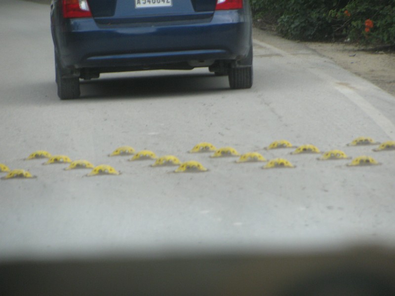 Dominican Republic 620.jpg